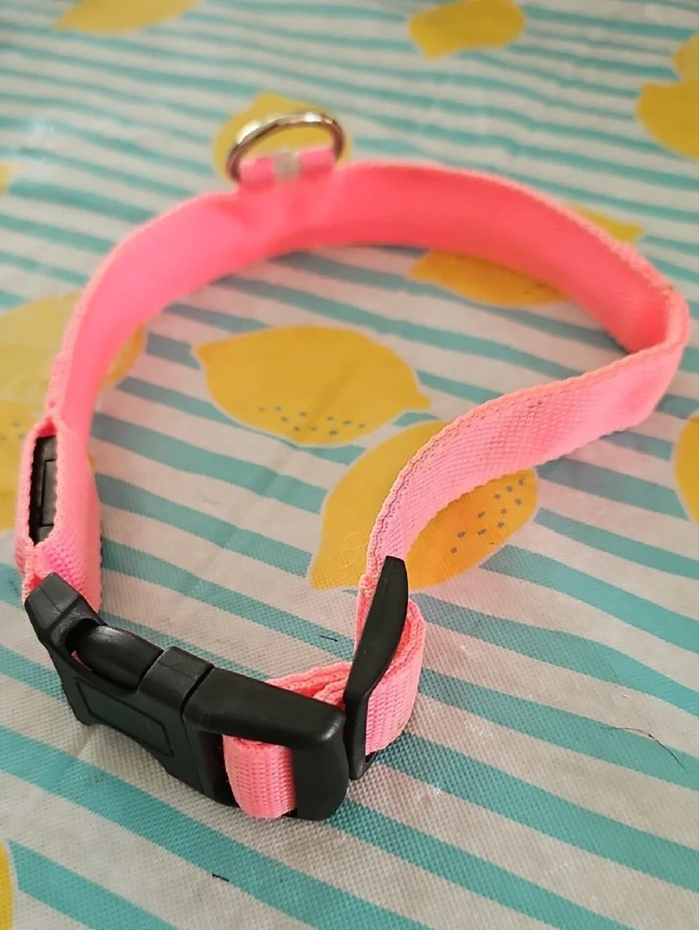 Light Up Dog Collar